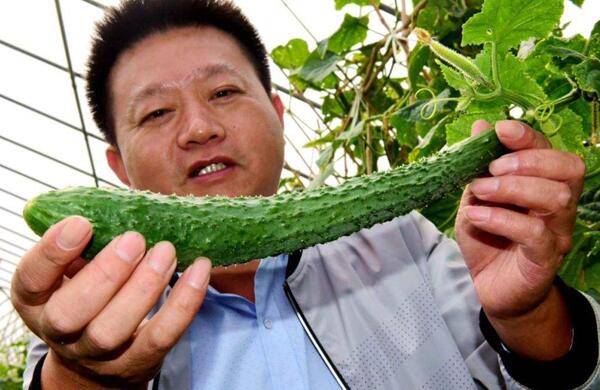 生鮮食材配送為什么大多不能與客戶建立長(zhǎng)期合作？
